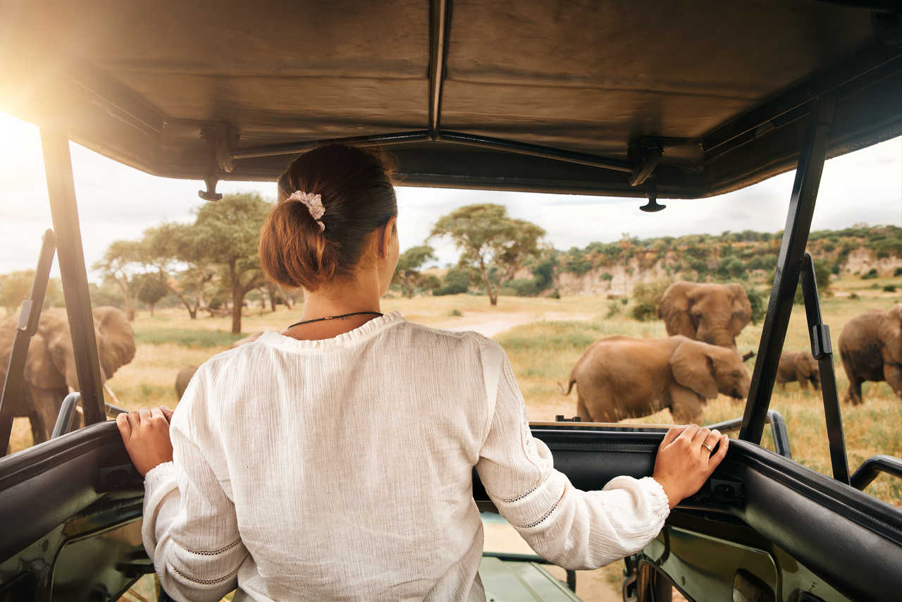 Wildblock Expeditions